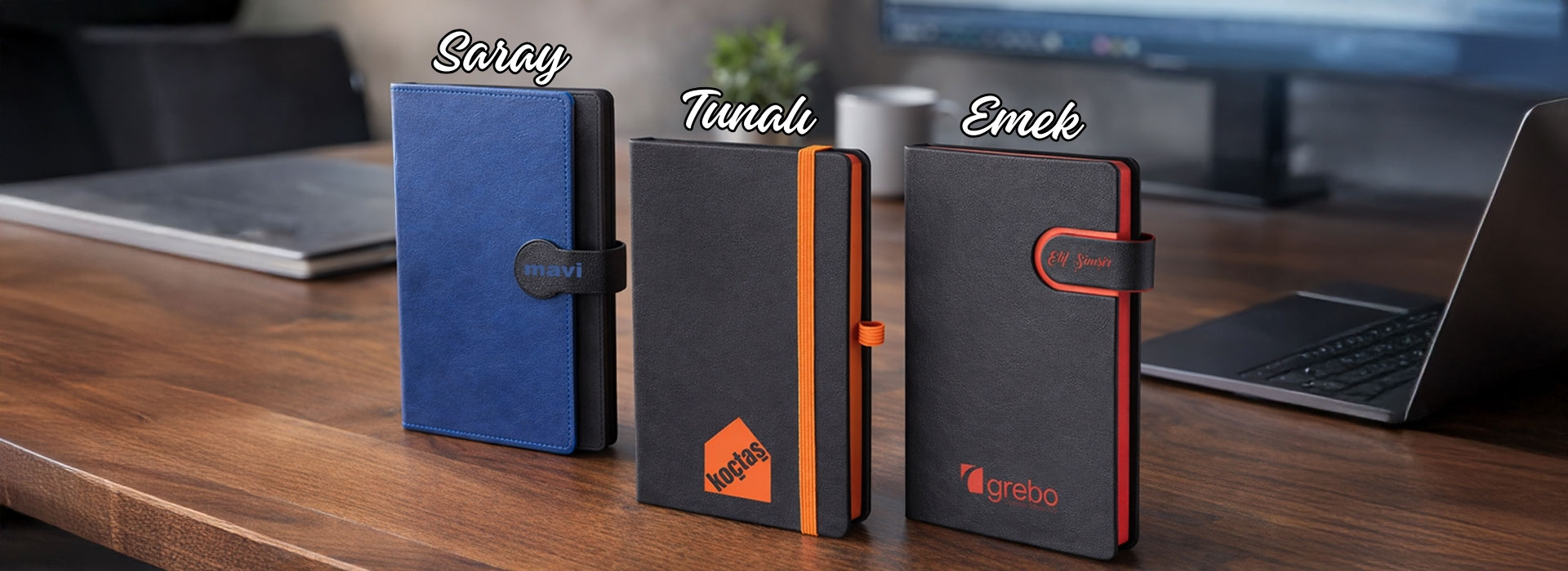 Saray Tunalı Emek Defter