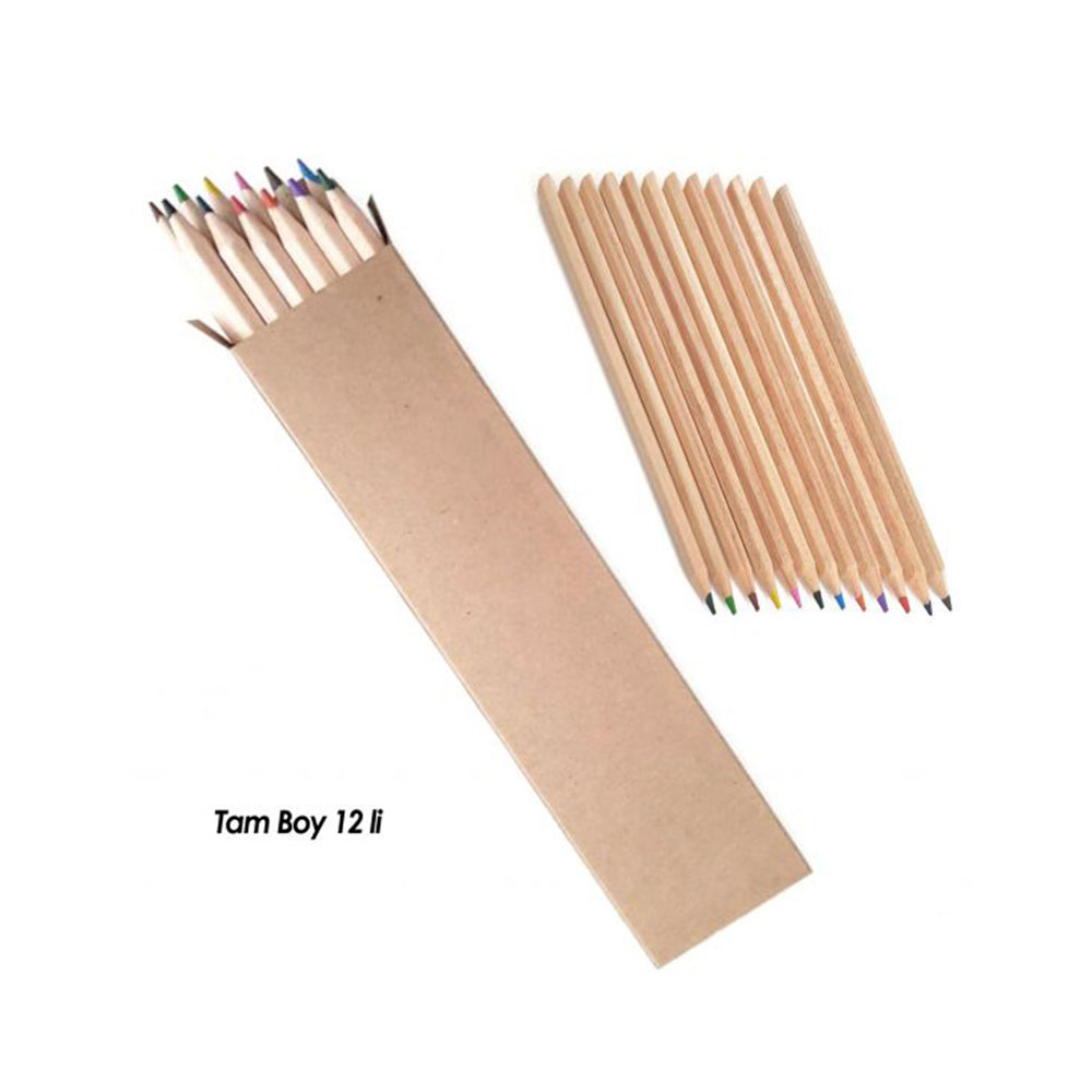 462201 BAŞYAYLA 12 Lİ TAM BOY BOYAMA SETİ